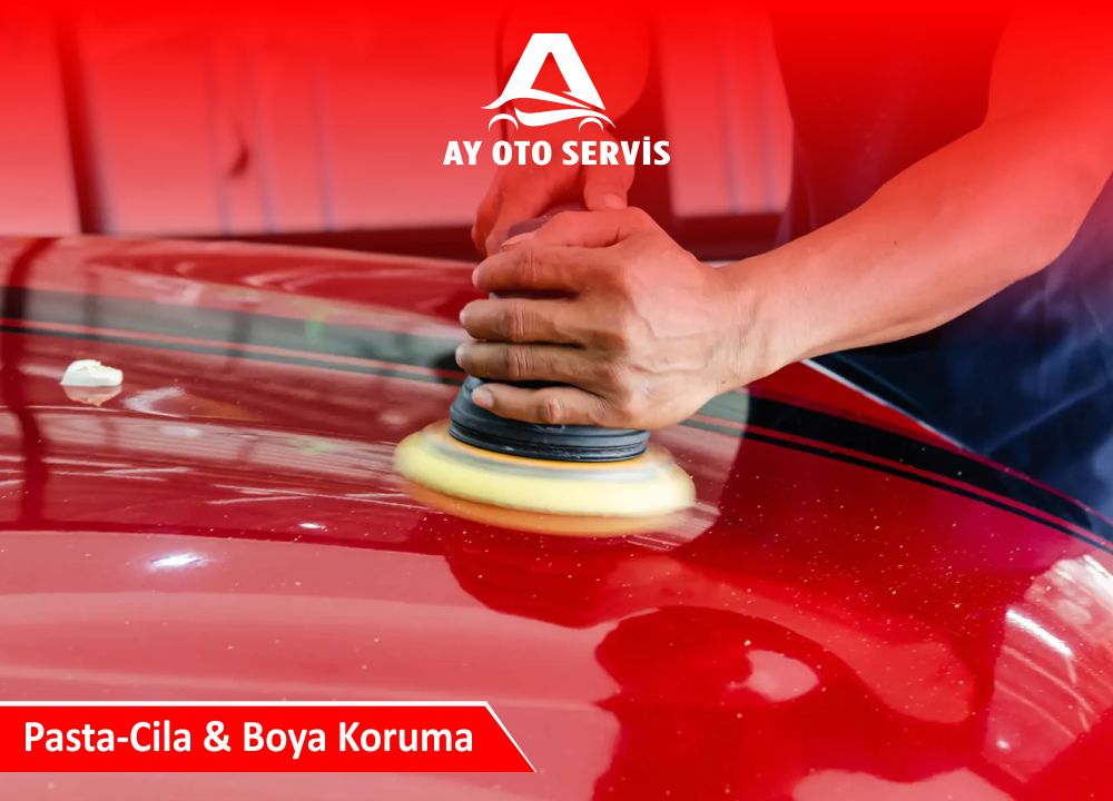 pasat cila ve boya koruma